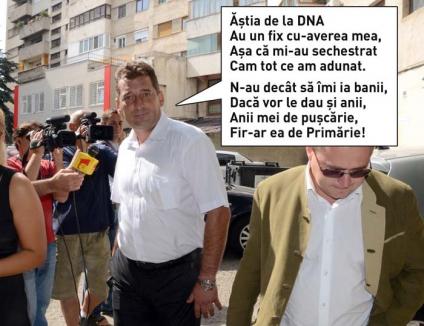 Off, averea mea: DNA a pus sechestru pe toate proprietăţile lui Adrian Domocoş